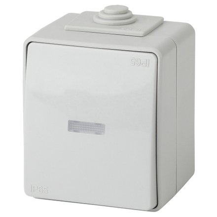 Переключатель ЭРА Эксперт 11-1610-03 с подсветкой IP65 10АХ-250В ОУ серый