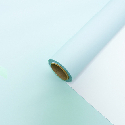 Пленка 2-х сторонняя 58*10м НЕЖНО-ГОЛУБОЙ/БЕЛЫЙ