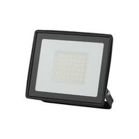 Прожектор светодиодный уличный 50Вт 6500К IP65 холодный белый свет Эра