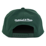 Баскетбольная кепка Mitchell & Ness Team Ground 2.0 Snapback Milwaukee Bucks