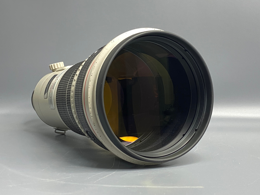 Canon EF 500mm f/4L IS USM