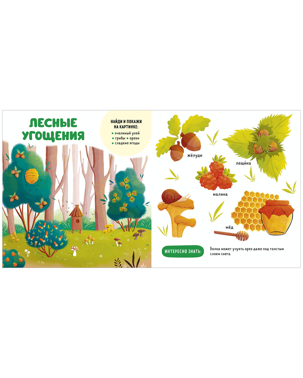Главная книга малыша. Прогулки по лесу