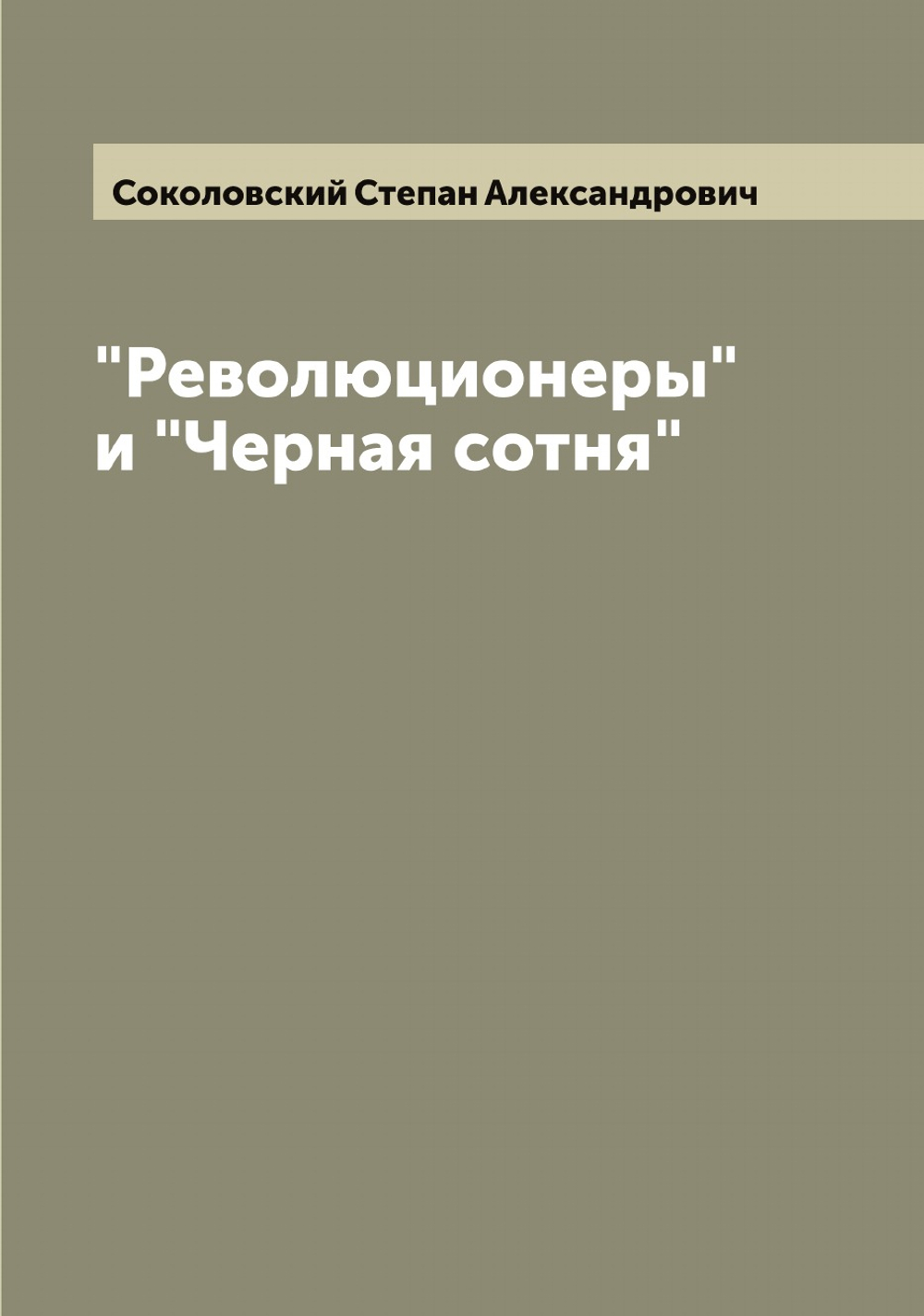 "Революционеры" и "Черная сотня" | Соколовский Степан Александрович