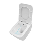 Унитаз подвесной Azario Dezi White BD 355х515х340 безободковый, с функцией биде, с быстросъемным сиденьем "Микролифт" (AZ-W05-SWBD)