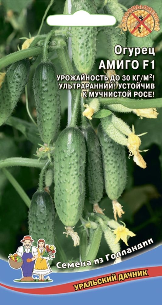 Огурец &quot;G. Амиго F1&quot; 8шт., Нидерланды.
