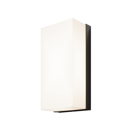 Уличный настенный светильник Outdoor O454WL-L10GF3K