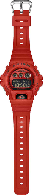 Мужские наручные часы Casio G-Shock DW-6900RRB-4