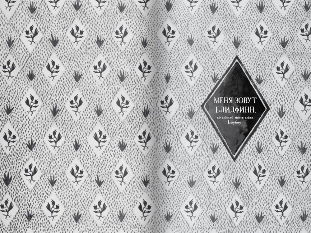 Блидфинн. Четыре путешествия в неизвестность