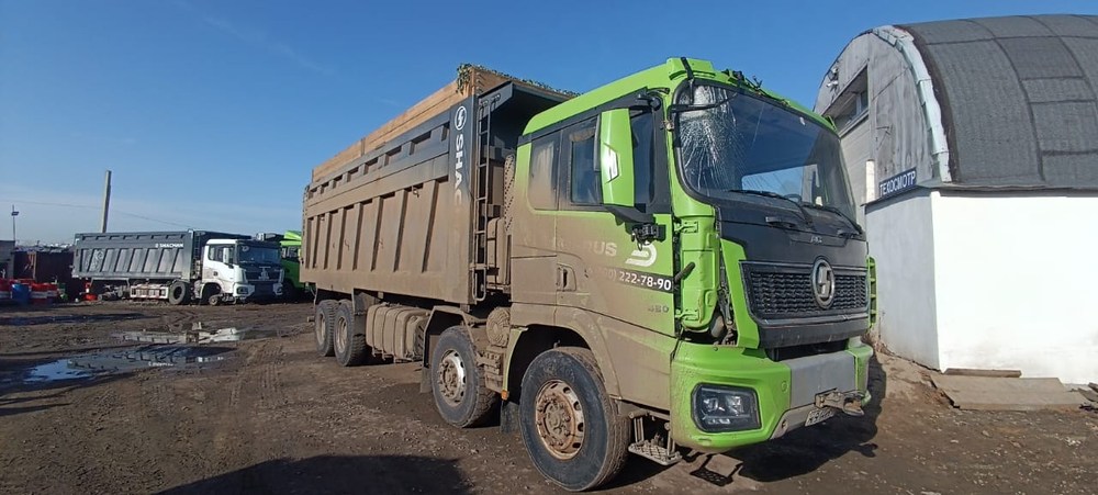 Shacman (Shaanxi) SX* 8x4 Самосвал SX33186V366 (Дизельный, 11,6 л, 423 л.с., МТ)