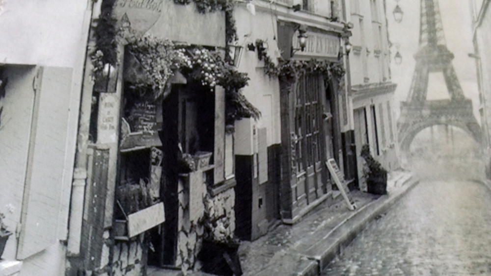 Микровелюр Xpoint (Икспоинт) 0019.01 Париж зонт