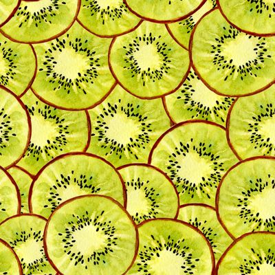 Киви в разрезе, тропические фрукты, акварельная иллюстрация