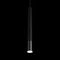 Подвесной светильник Loft IT Everest 10583D Black
