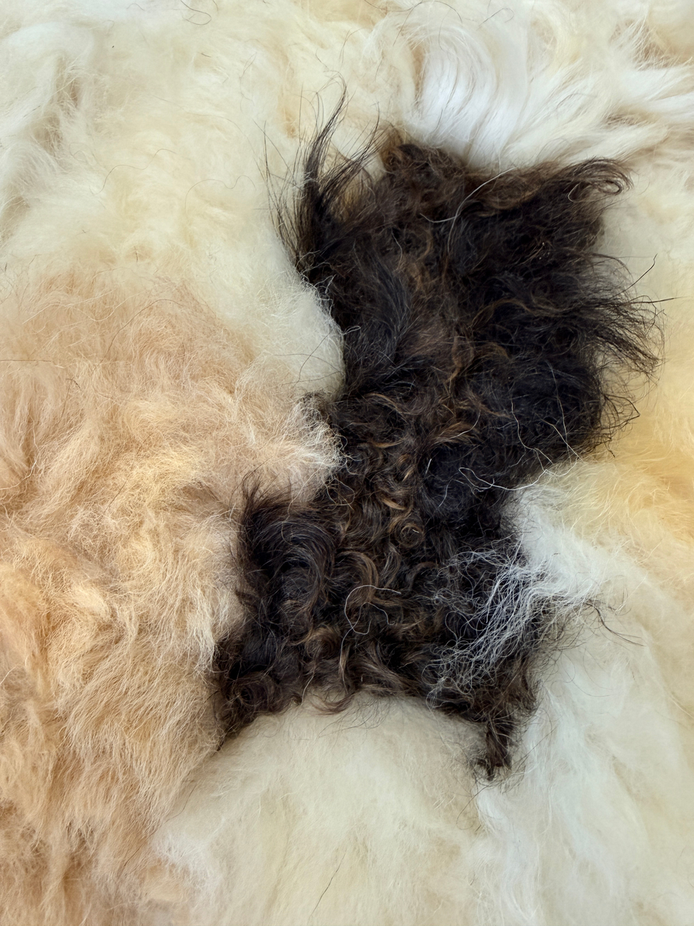 Покрывало меховое ковер из шкуры овчины