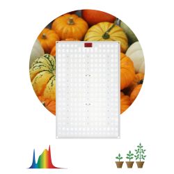 Квантум борд ЭРА FITO-160W-LED-QB Quantum board фитопрожектор полного спектра 160 Вт | Квантум борды (Quantum board)