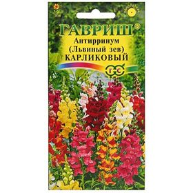 ОДНОЛЕТНИКИ