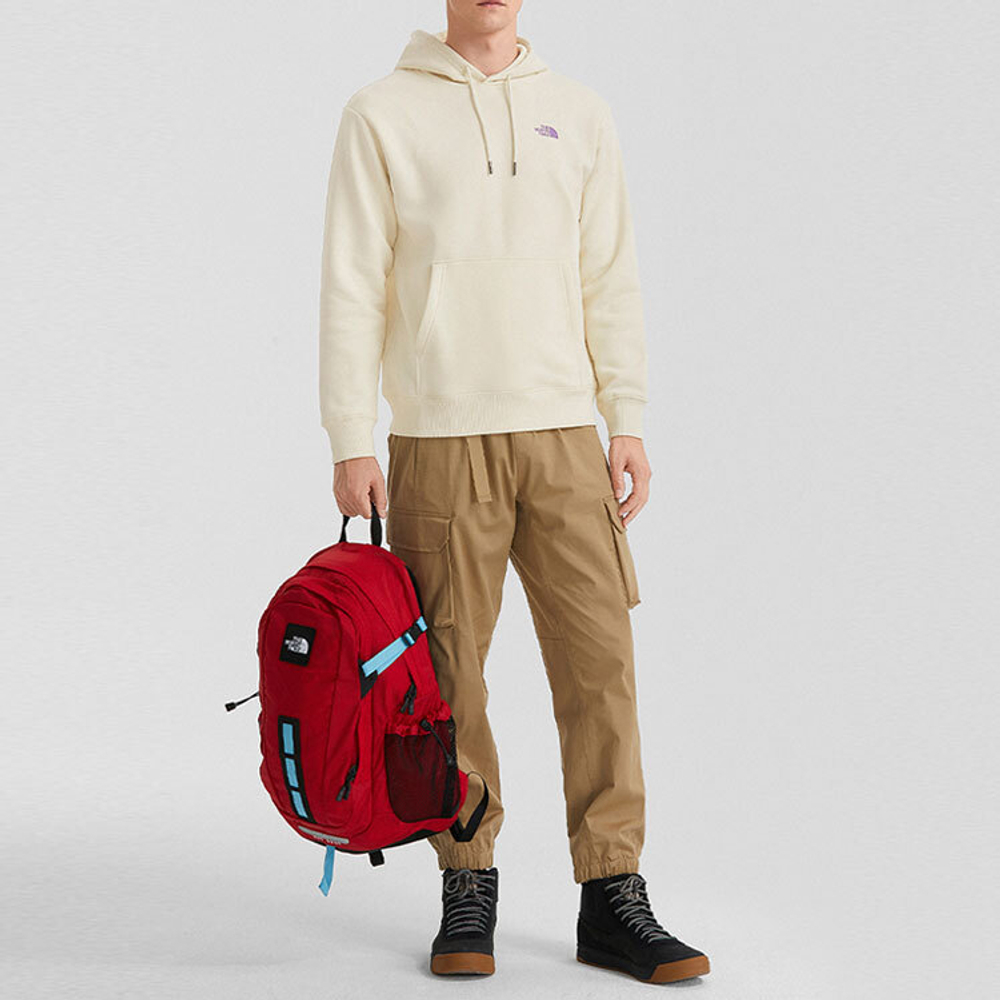 Худи THE NORTH FACE Logo, NF0A7QV7-N3N