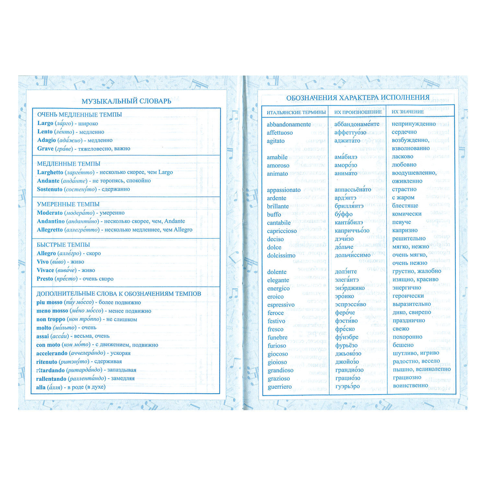 Дневник для музыкальной школы 140х210 мм, 48 л., твердый, BRAUBERG, справочный материал, "Гитара", 104974