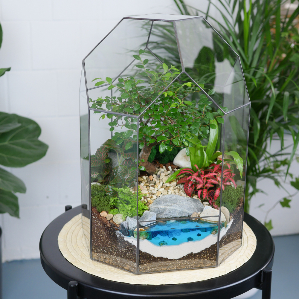 Готовый флорариум бонсай Японский вяз Бонсариум XL с озером