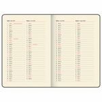 Ежедневник датированный 2025, А5, 143x218 мм, BRAUBERG "Journal", под кожу, застежка, органайзер, серый, 115881