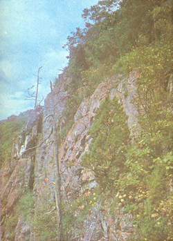 Заповедники Дальнего Востока