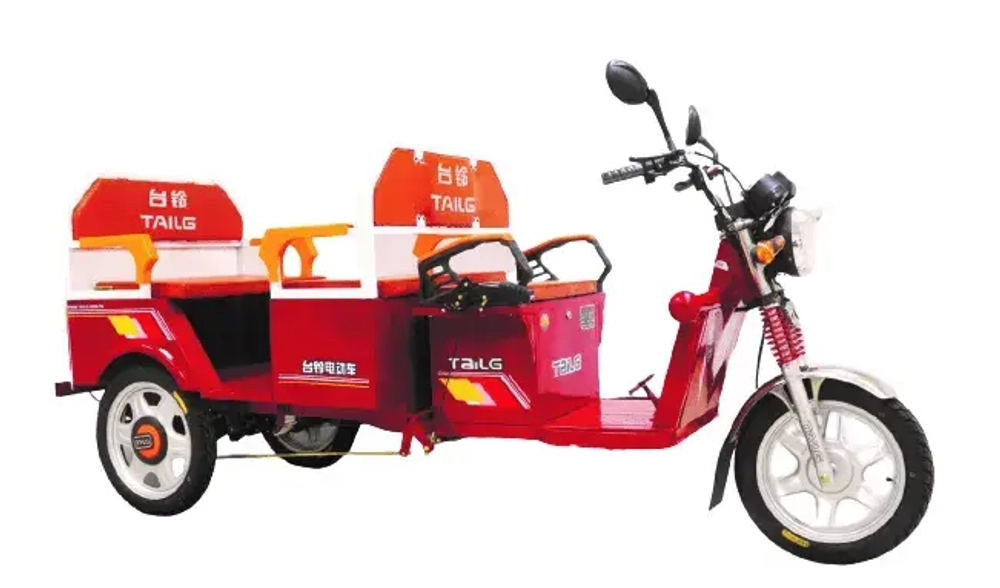Электро-рикша TaiLG TDL800