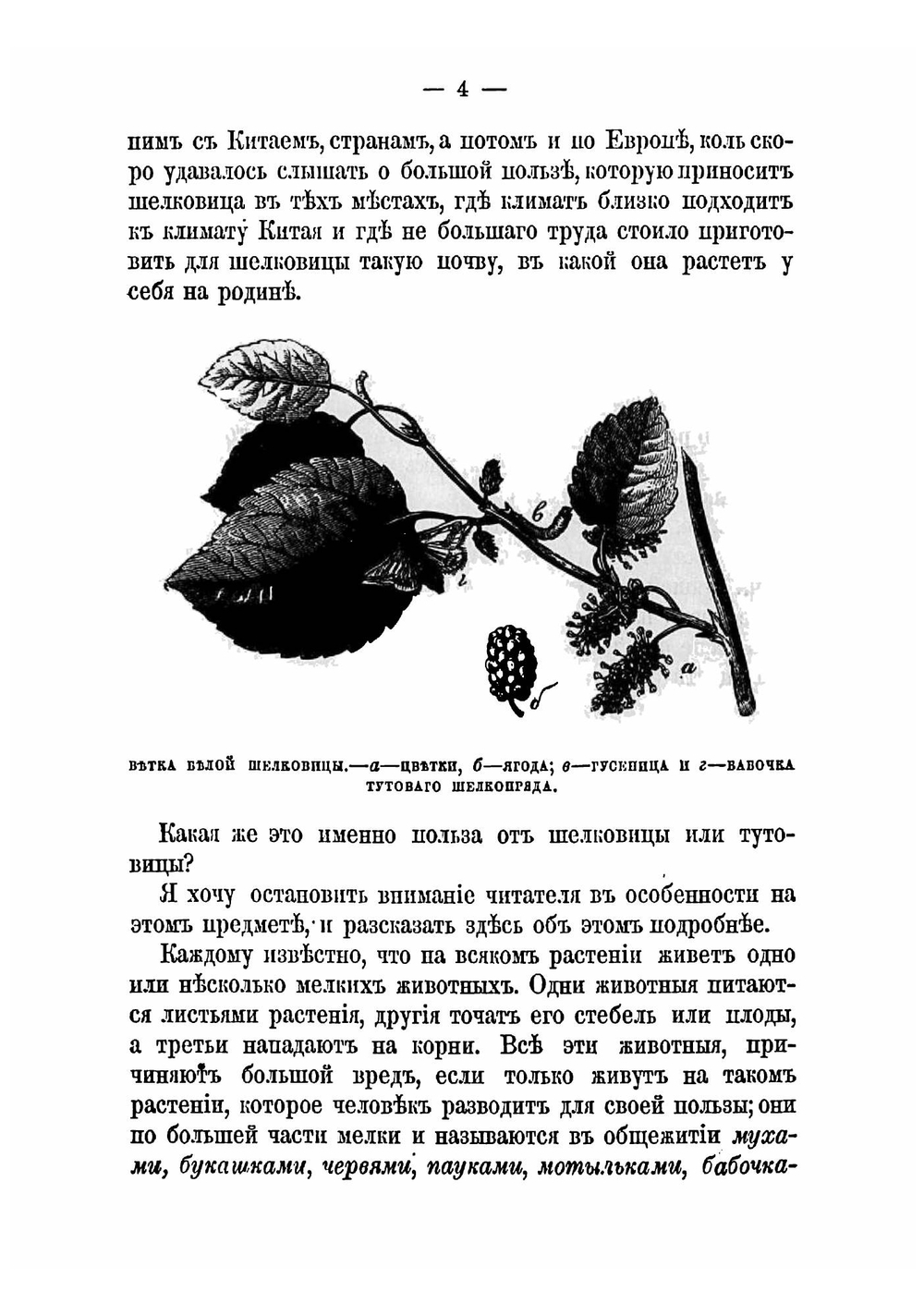 Как добывать шелк. Наставление к разведению шелковичных деревьев и выводке шелковичных коконов | Иверсен Владимир Эдуардович