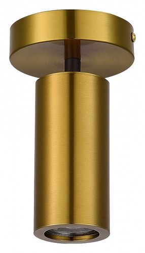 Светильник на штанге ST-Luce Talia SL1215.402.01