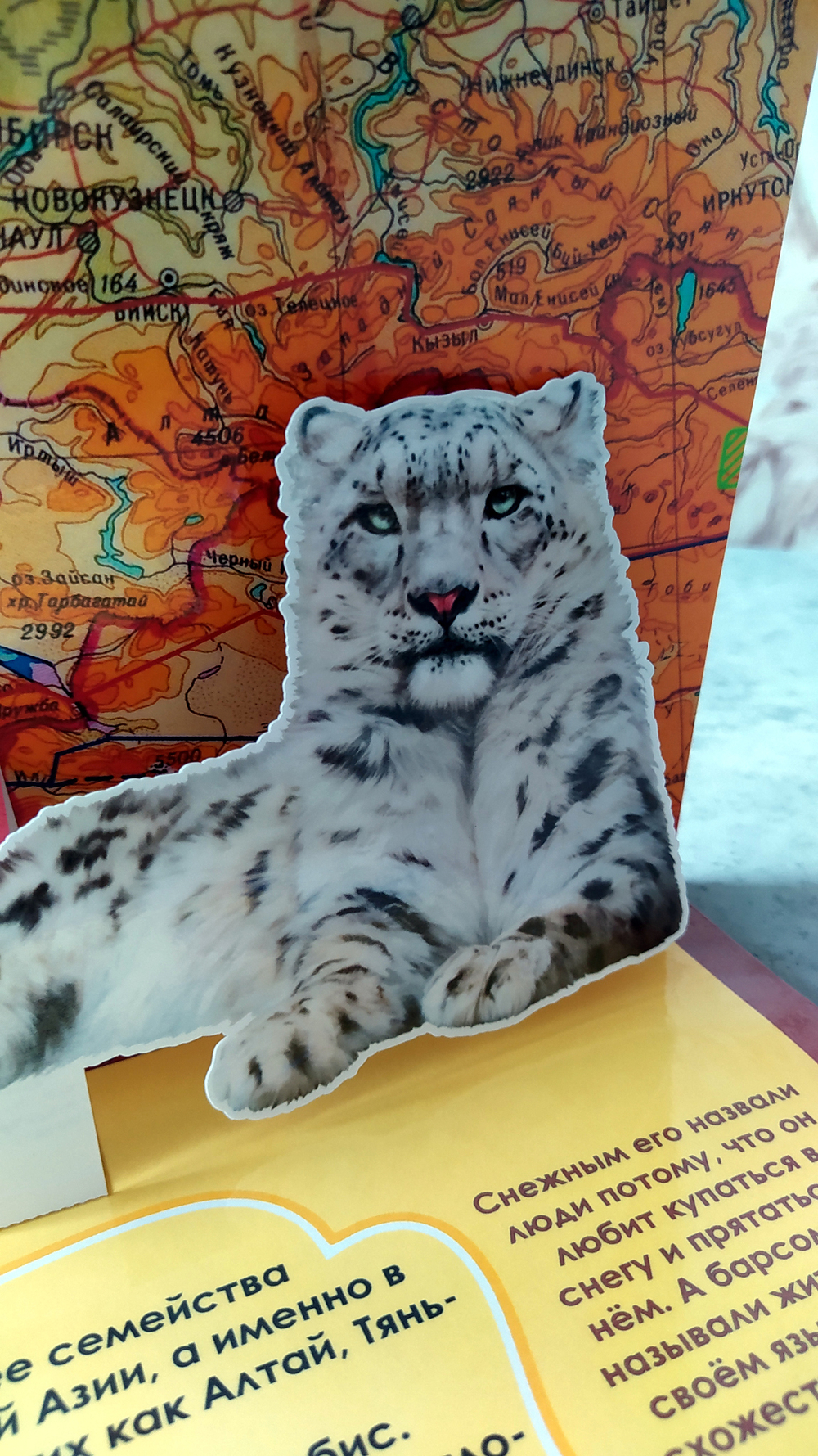 3D-Альбом "Красная книга животных России"