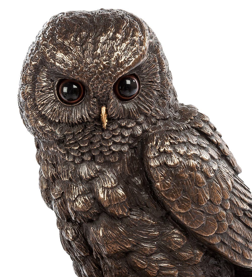 Veronese WS- 48/ 2 Шкатулка «Сова»