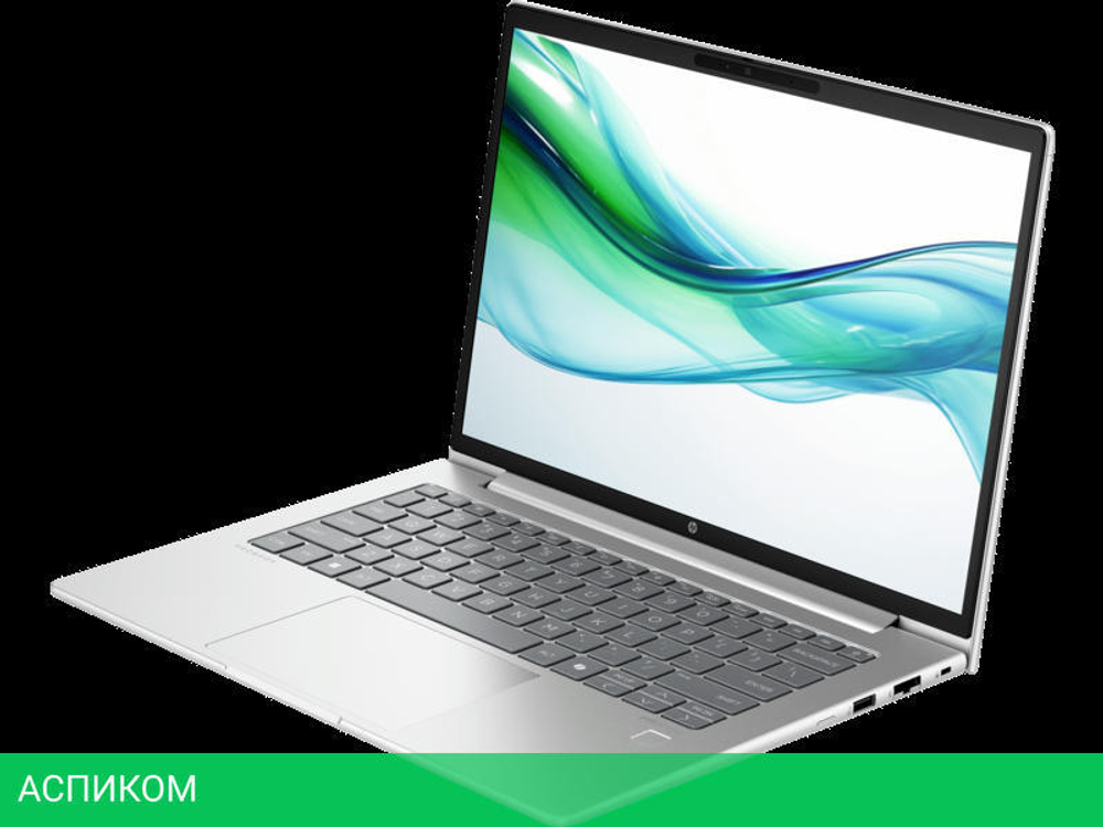 Ноутбук HP Probook 445 G11 Silver (8Z9P6AV)