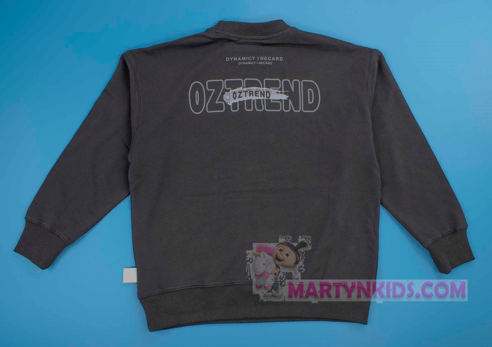 толстовка подросток OZ TR   4934