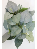 Куст сирени