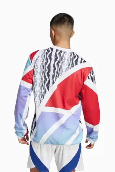 Кофта adidas Arsenal FC 24/25 Pre-Match - многоцветный