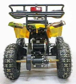 Электроквадроцикл Green Camel Гоби K21 (36V 800W R6 Цепной привод)