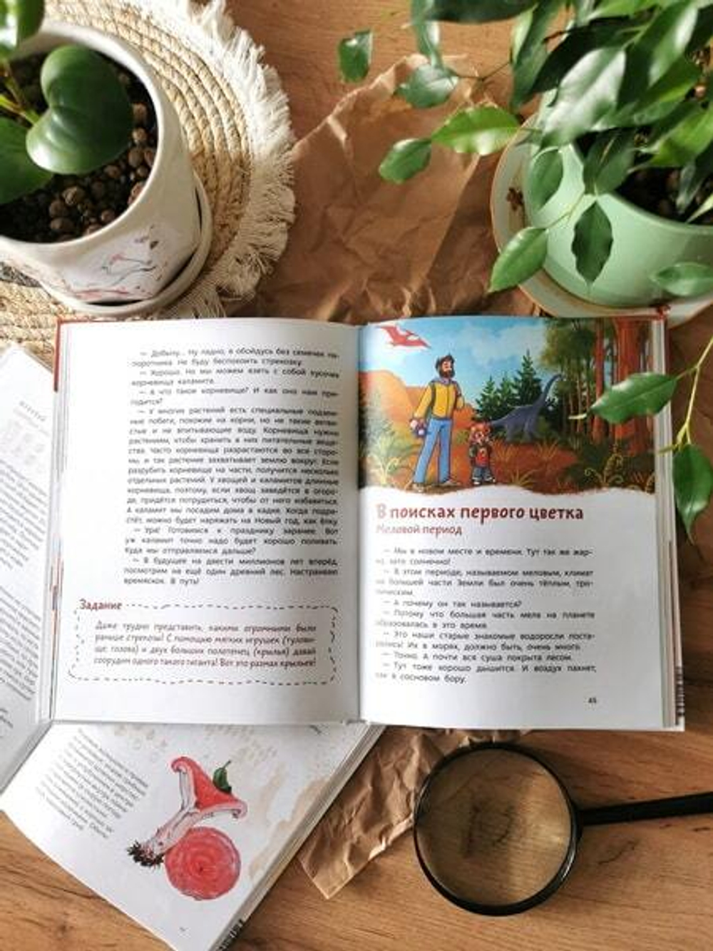 Растения и грибы. Детская энциклопедия (Чевостик)