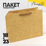 Пакет подарочный 23х18х10см "Люкс" (Крафт)
