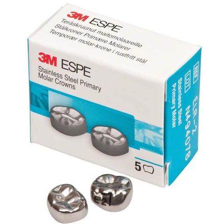 Второй нижний правый моляр, размер 2 (E-LR-2)