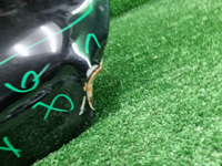 Крышка багажника Chery Tiggo 7 Pro (2020-2024)