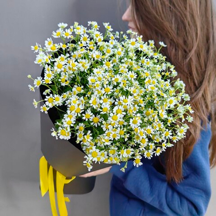 Букет из 13 ромашек