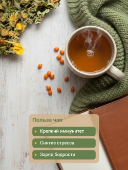Курильский чай с облепиховым листом