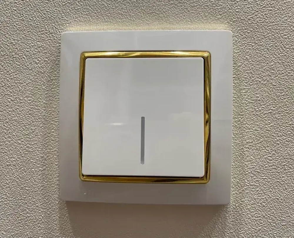 Выключатель одноклавишный с подсветкой (белый матовый) W1110161