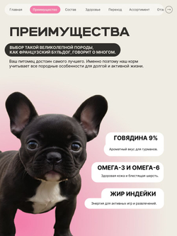 Корм сухой для щенков породы Французский бульдог, с говядиной, 12 кг, QUATTRO