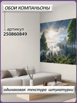 3D Фотообои утренний лес в тумане и небо