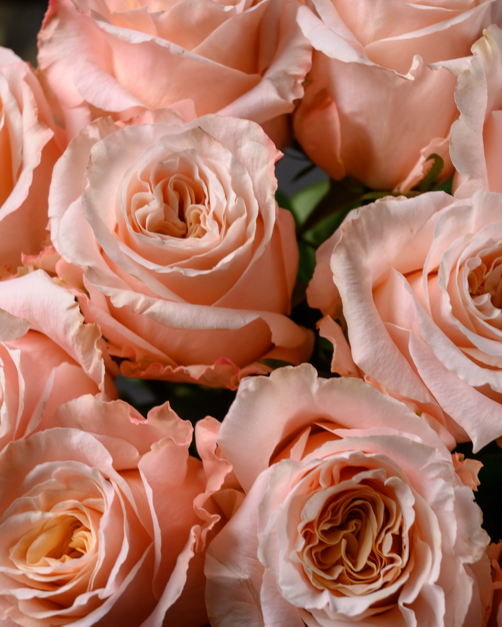 Монобукет теплый беж