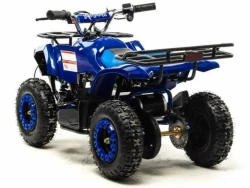 Электроквадроцикл Motoland ATV E009 1000W