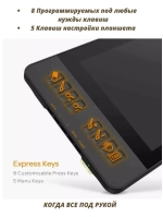 Планшет Gaomon PD1161