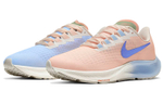Кроссовки Nike Pegasus 37 (Женская размерная сетка)