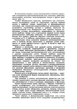 Нервные болезни | Е.И. Гусев; В.Е. Гречко