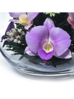 натуральные цветы в стекле, вакуум