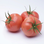 Мамстон F1 семена томата индетерминантного (Syngenta / Сингента)